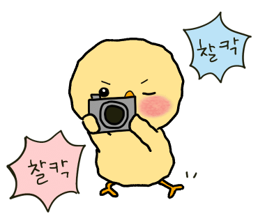 악세슬이 이미지