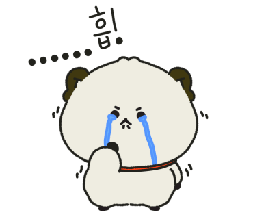 제주표선서핑스쿨 이미지
