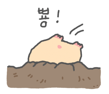 카페익투스 이미지