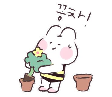 대구화훼 이미지