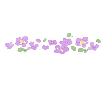 킹정육마트 이미지