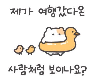 하이난항공 후기 부다페스트-심천 HU762 , 아시아나항공 심천-인천 OZ372 기내식, 수화물 탑승 후기