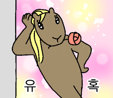 88강정 이미지