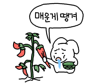 컨티뉴커피 이미지