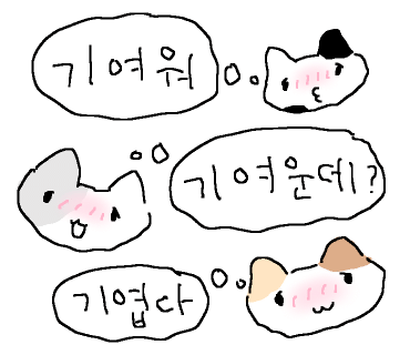 팔도강산노래방 이미지