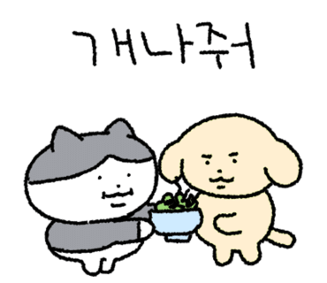 강남교자칼국수 이미지