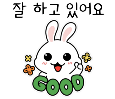 백마청소 이미지