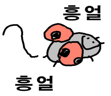 미션기획 이미지
