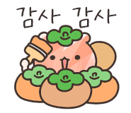 세이디자인 이미지
