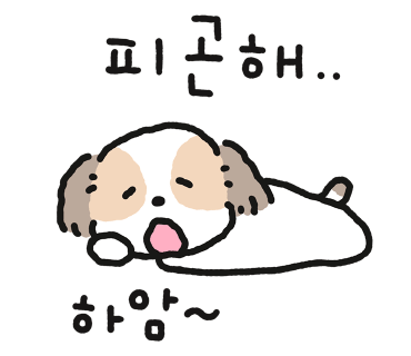 솔이식당 이미지