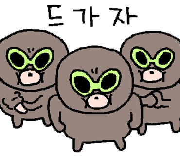 일랑더치 이미지