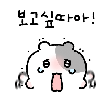 카페돌핀 이미지