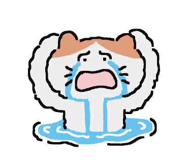 홍콩앤홍교 이미지