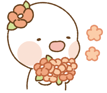 씨더라이트 이미지