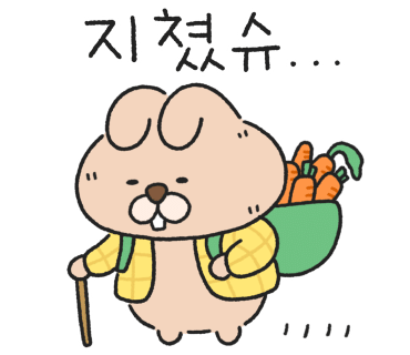 꼰미고 이미지