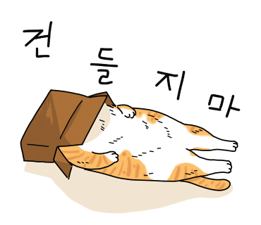 쉬즈베이글 이미지