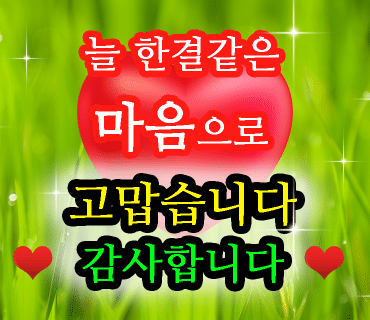 엘디자인 이미지