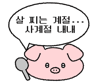 진이플라워 이미지
