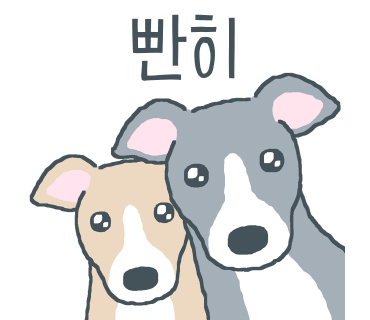 쌍둥이네삼겹살 이미지