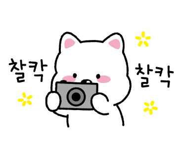 카페누비 이미지