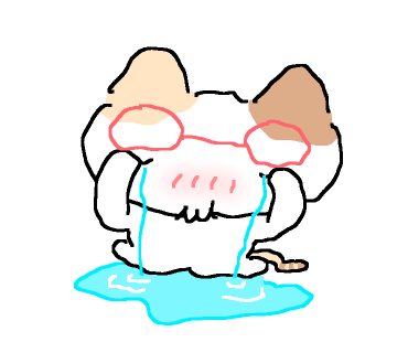 정돈(홍대점) 이미지