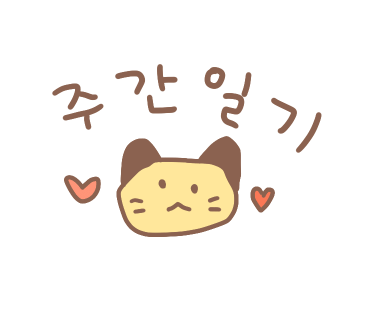 둥글이 이미지