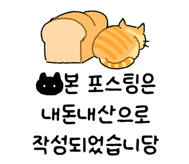 만선갑오징어 이미지