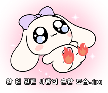 디자인오즈 이미지