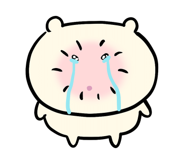 포커스하이 이미지