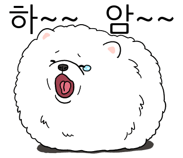 선셋101 이미지