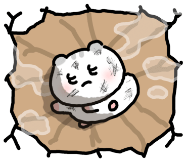 크로스핏아슬란 이미지