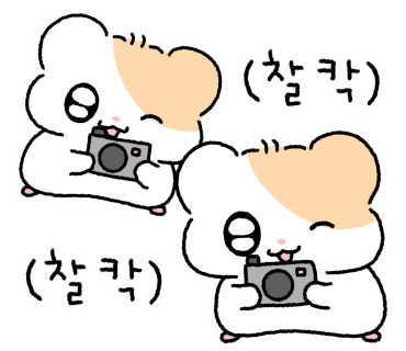 서상카페 이미지