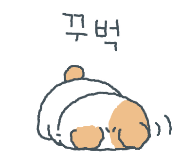 스시히비 이미지