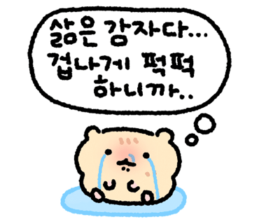 대야성수타손짜장 이미지