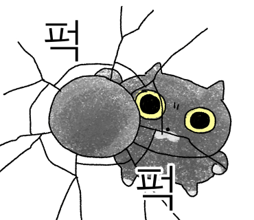 브리비트 이미지