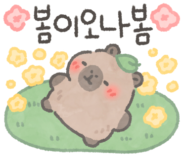 다시봄 이미지