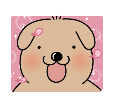 850 전망대 이미지
