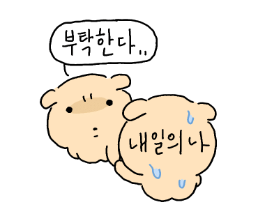 베리데이 이미지