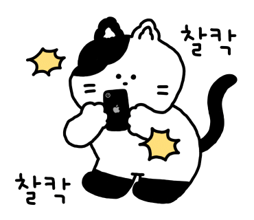 제이엠드레스 이미지