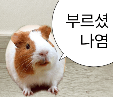 SS네일 이미지
