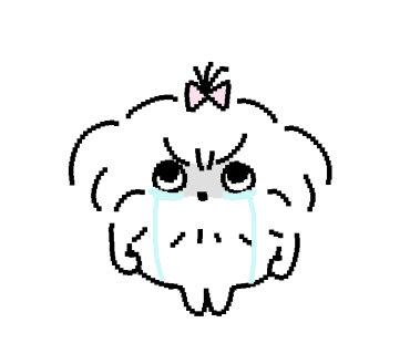 바이백 이미지