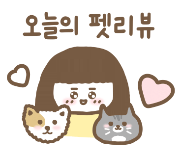 플랙스캣 이미지