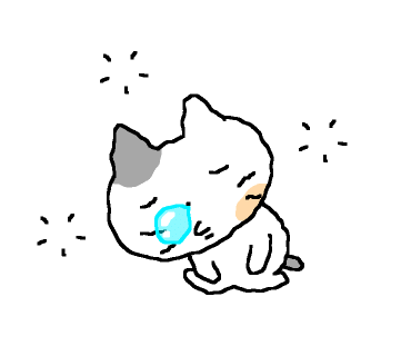 스튜디오뉴문 이미지