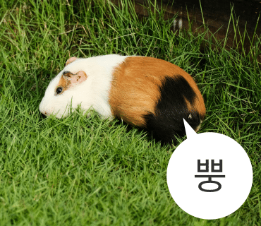 카페 아리온 이미지