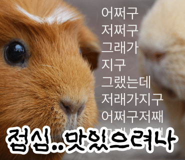 삼미통닭 이미지