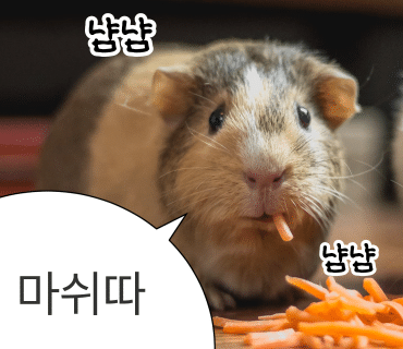싱싱목장 이미지