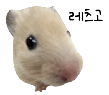 블챌 8주차 - 아임파인 포스터 촬영 비하인드컷 전격 공개!!(발리 우붓 아르반야 빌라)