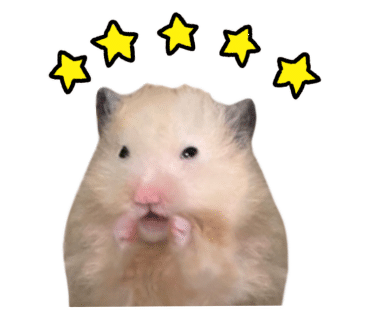 런던베이글뮤지엄 맛 추천 메뉴 보관방법