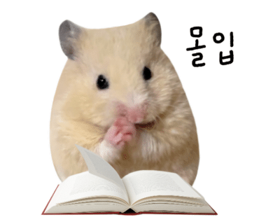 노스페이스 화이트라벨 여성 노벨티 눕시 디테쳐블  전소미 숏패딩 DT NJ1DR86J