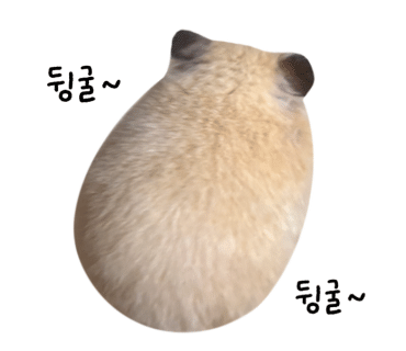 몬안베띠 서초본점 사진 2